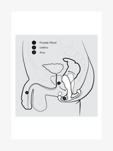 Load image into Gallery viewer, Aneros - Helix Syn